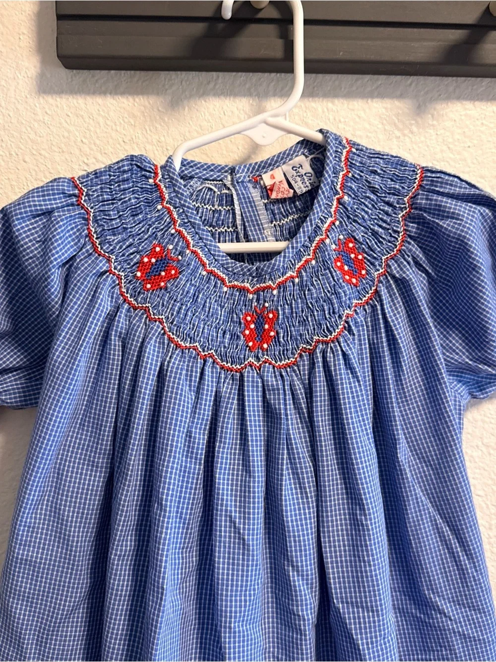 Express Blue Gingham Smocked Dress with Red Embroidery